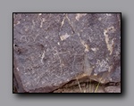 Click to enlarge 845 shelr bpk 14062005 petroglyphs rock spring table.jpg